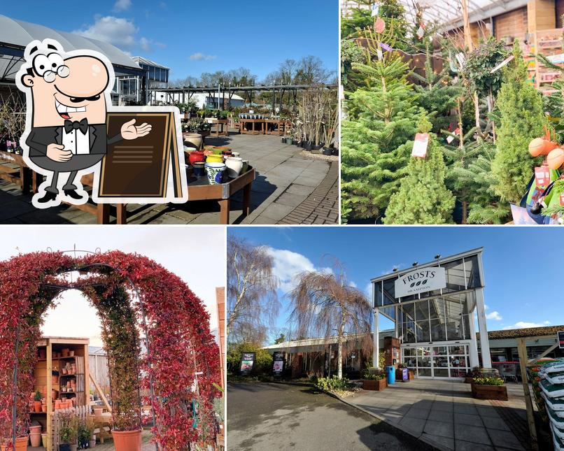 Frosts Garden Centre