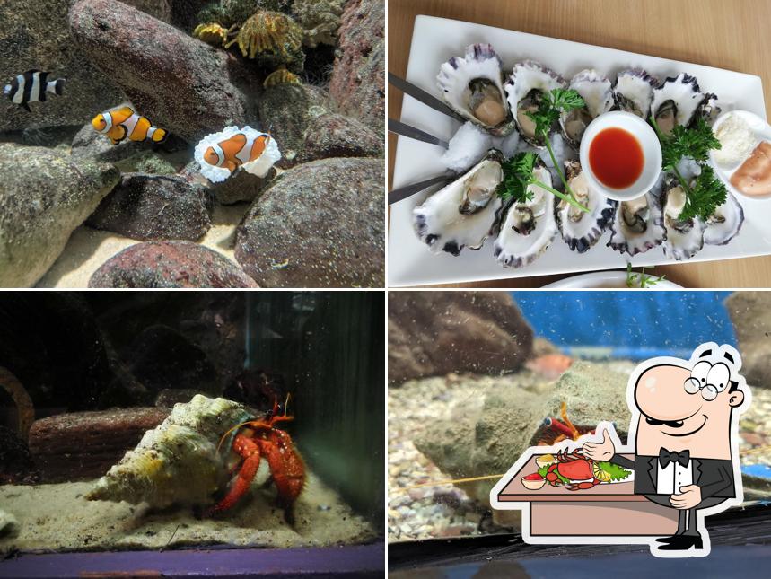 Merimbula Aquarium & Wharf Restaurant
