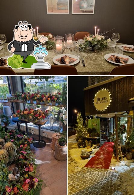 Delius Botaniske Blomsterverksted og Kafé i Asker