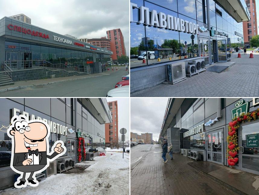 Seledka