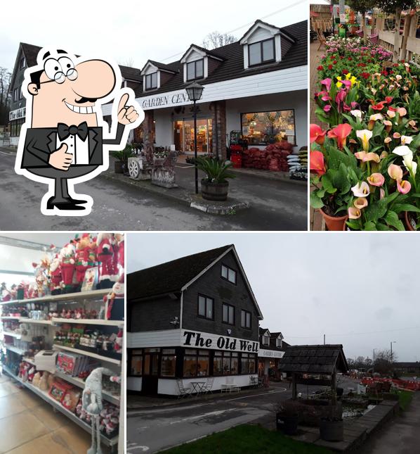 The Old Well Garden Centre