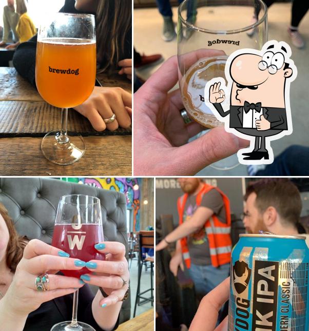 BrewDog DogTap
