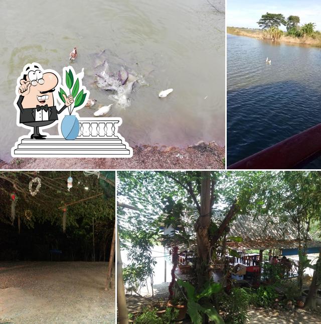 เจ้ขวัญ อาหารพื้นบ้าน (อาหารป่า)
