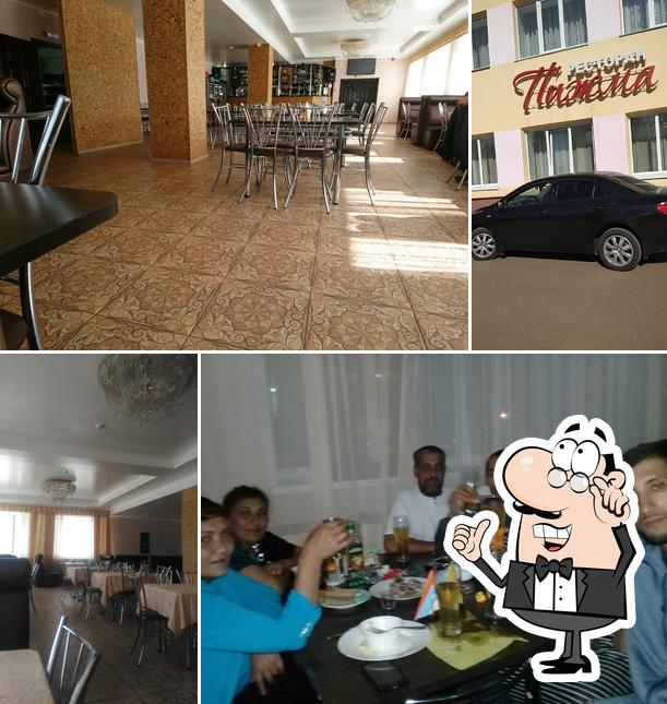Пижма