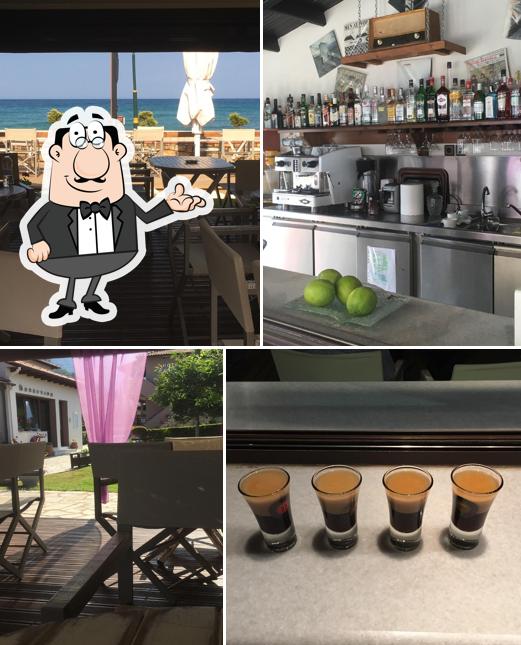 Garden Bar Kamelia
