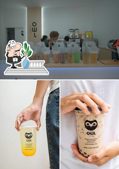 OWL CHA สะเดา