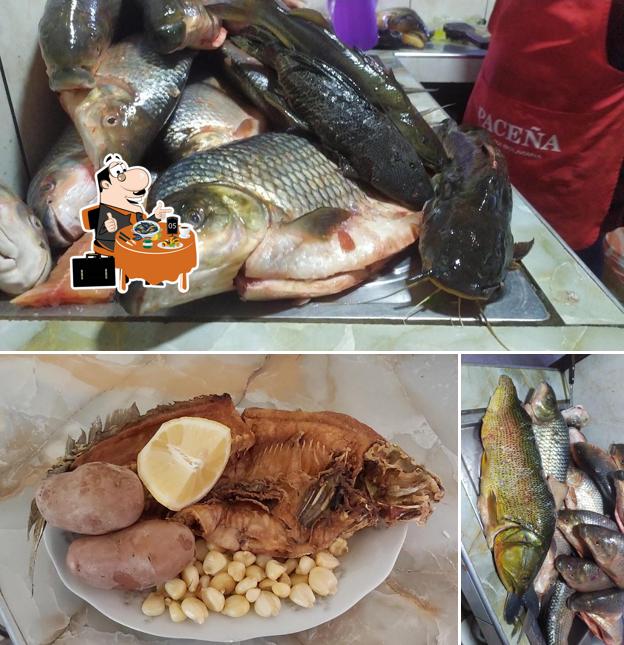Pescaderia Doña Magui