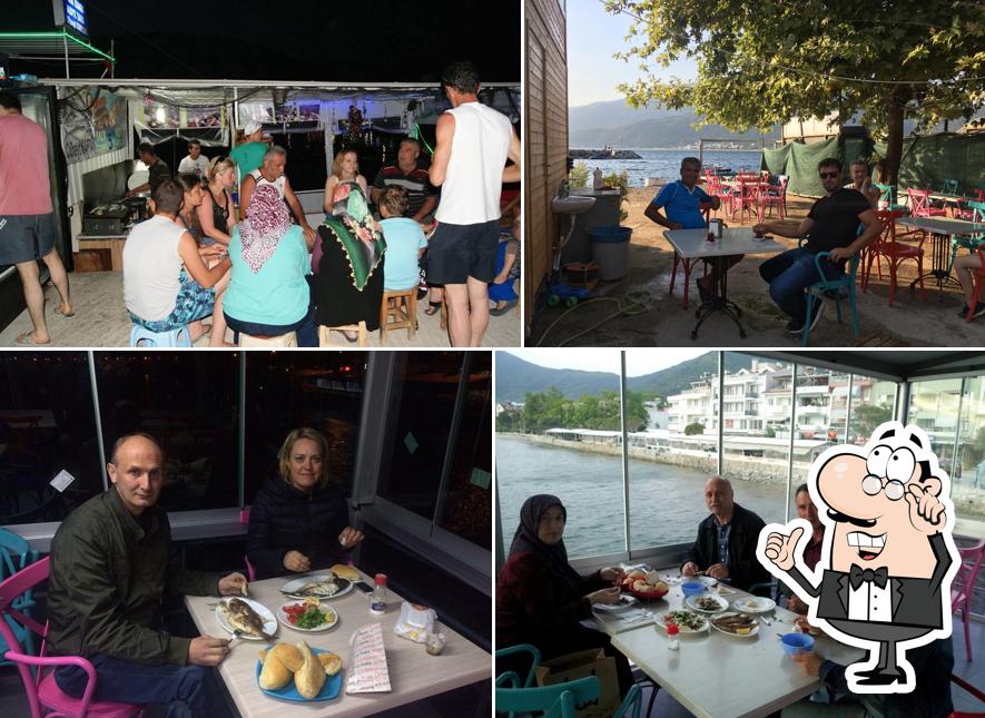 Cüneyt Kaptan Balık Ekmek& Izgara