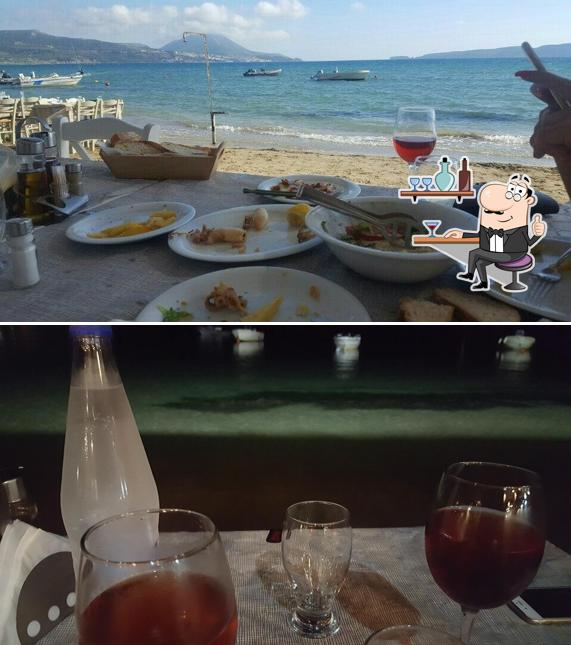 το κοχυλι