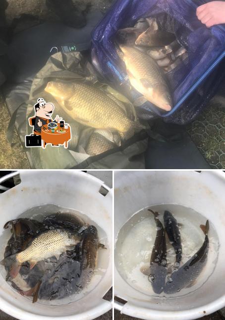 The Rising Fishery