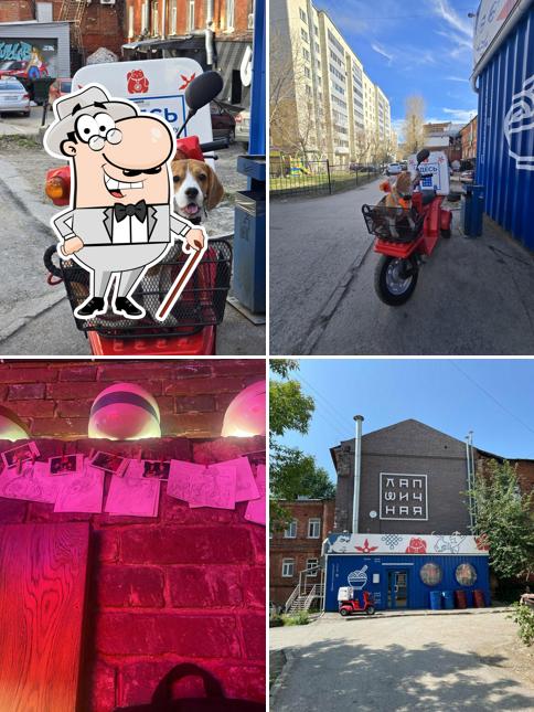 Посмотрите, как "Лапшичная" выглядит снаружи