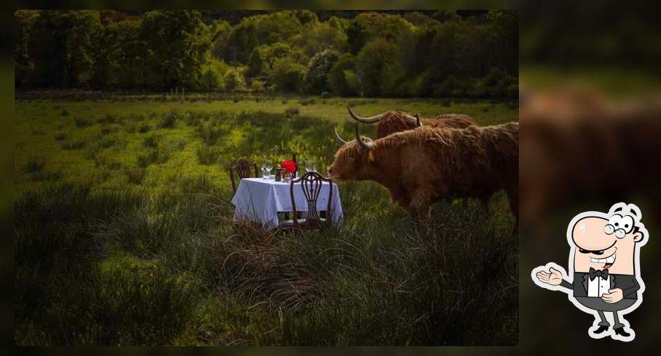 Table for Coo