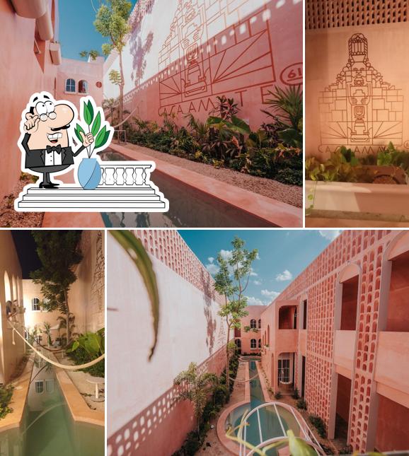 Casa Amate 61 - Mérida Centro