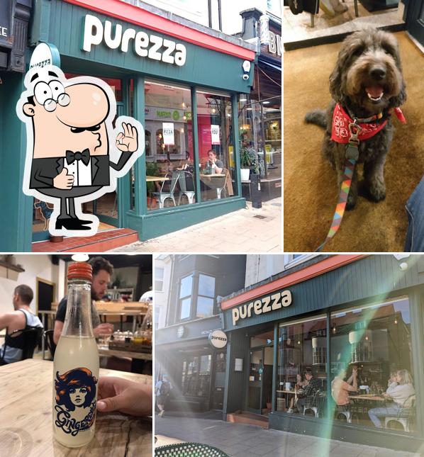 Purezza Brighton