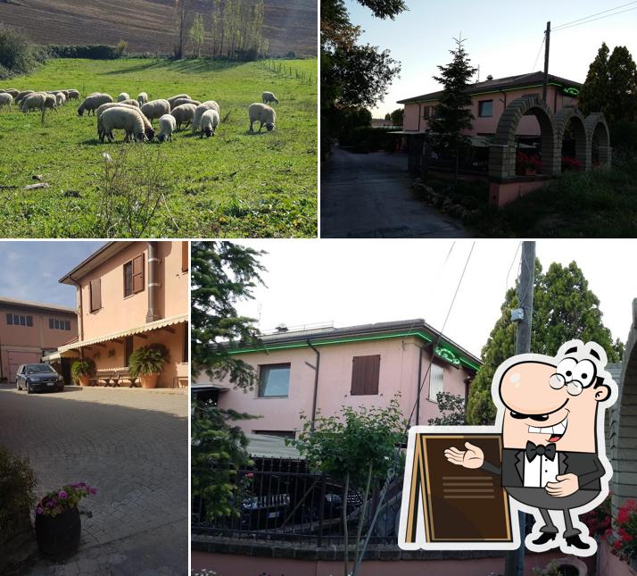 Agriturismo la Rocca Verde