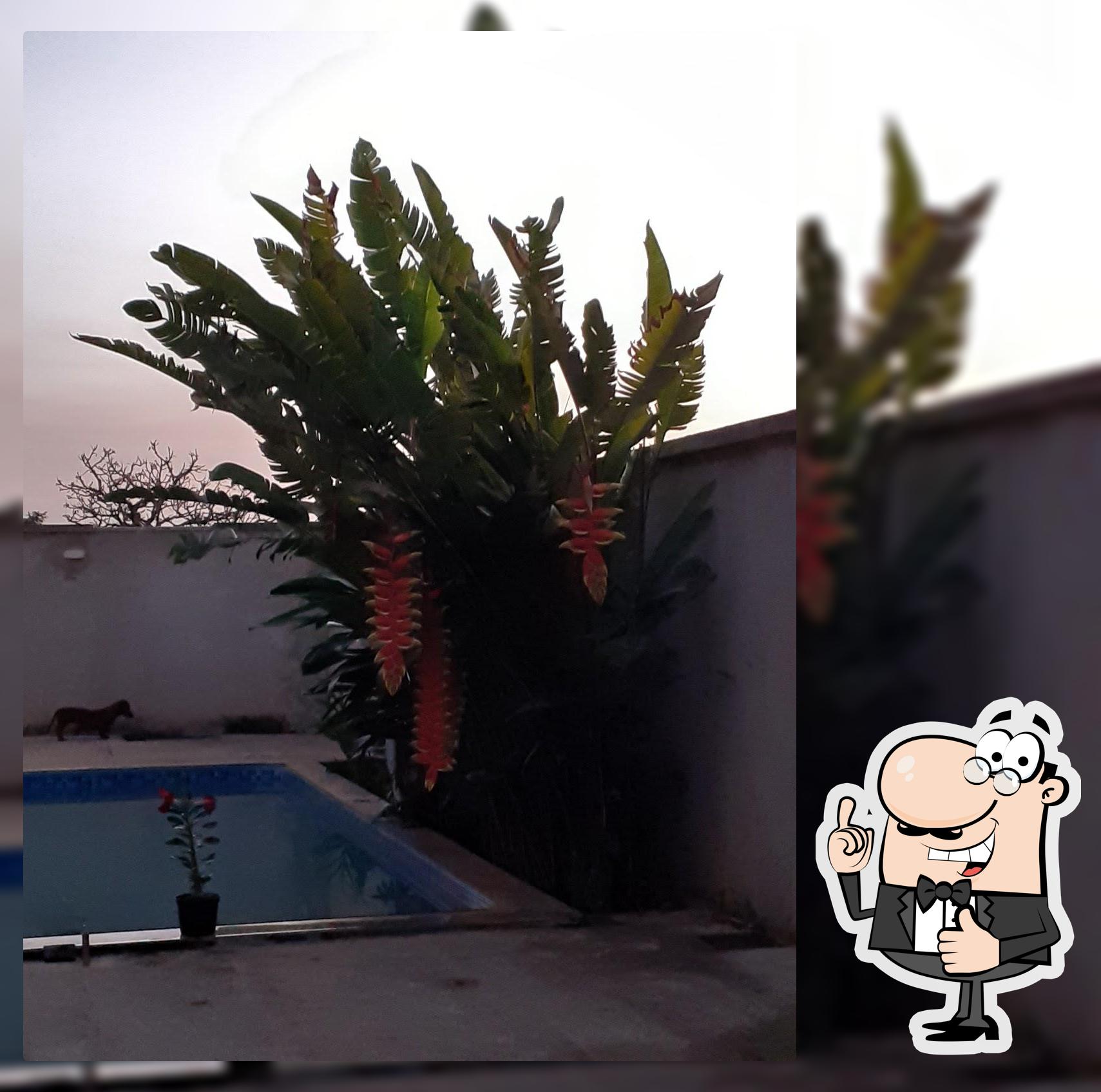 Racho Poly&Ale