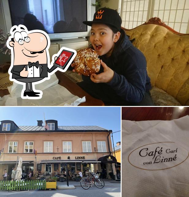Café Carl von Linné