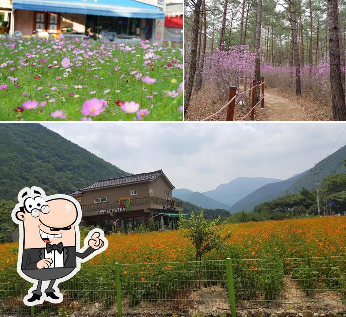 Ulsan Aji Maejip