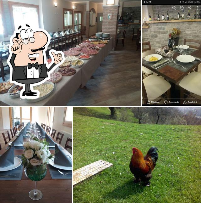 Agriturismo Green Valley