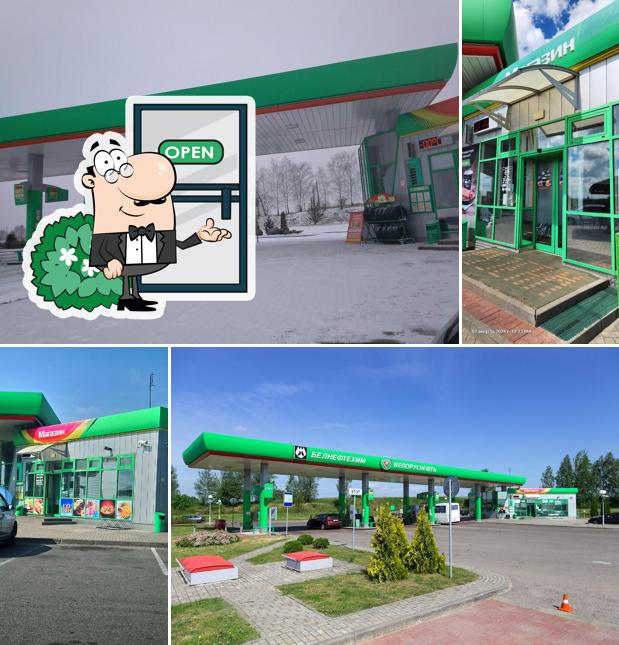 Белоруснефть