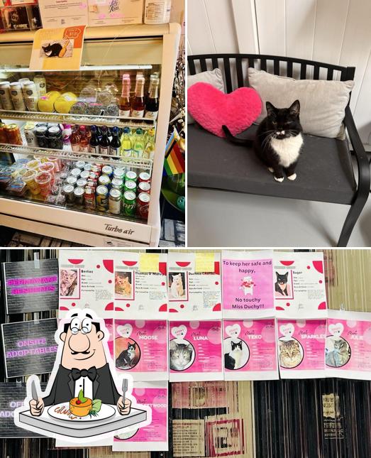 Kitty Kisses Cat Café - Tickets Required