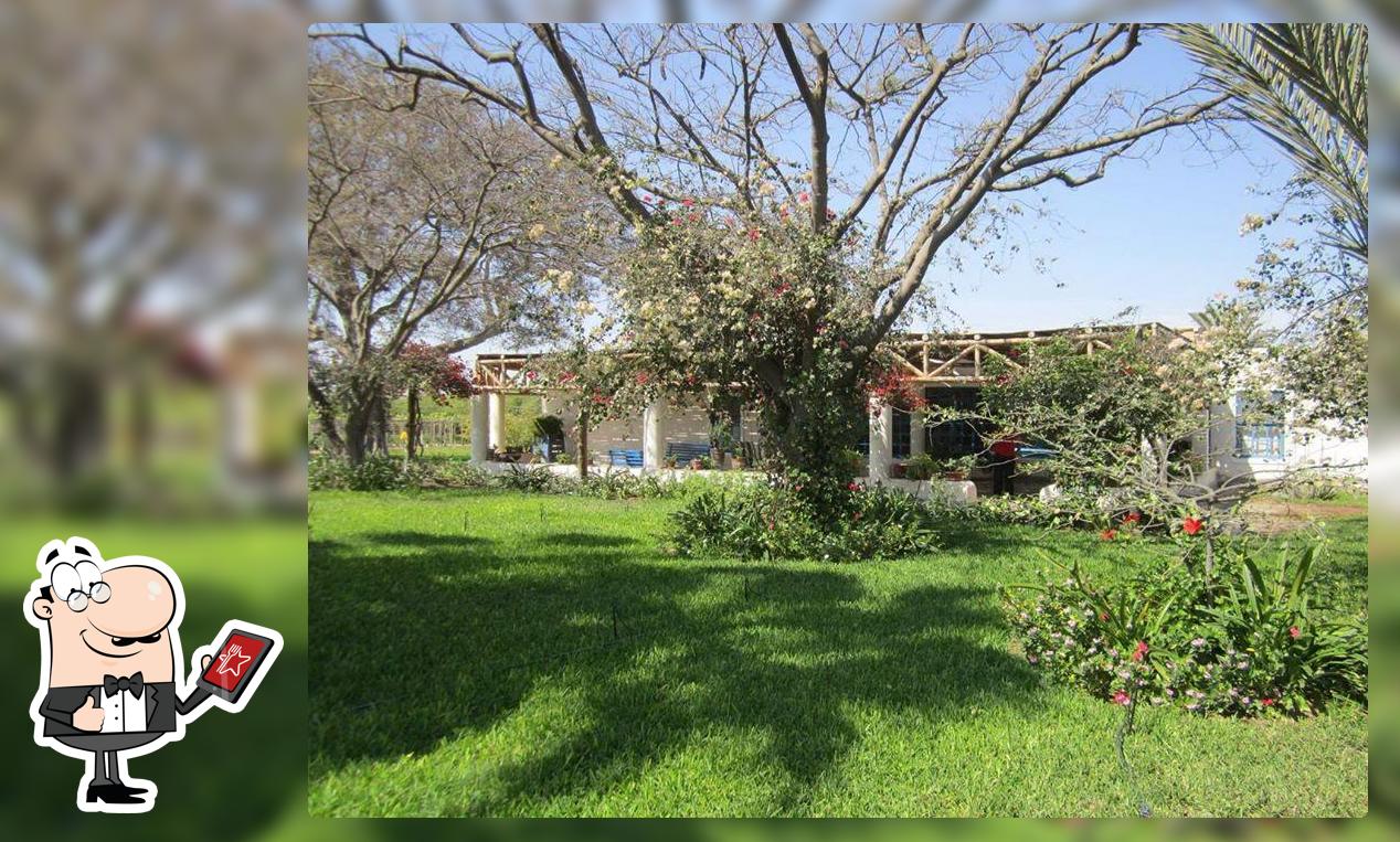 Eco Hotel El Huarangal