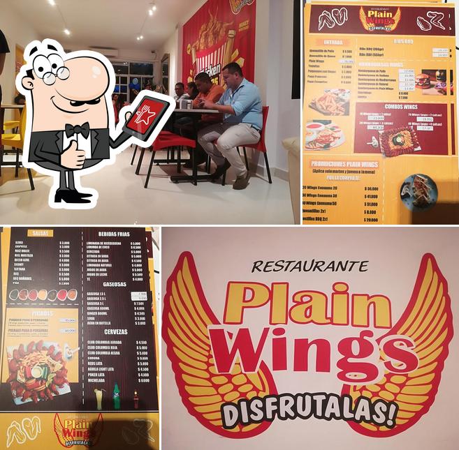 plain wings- inirida