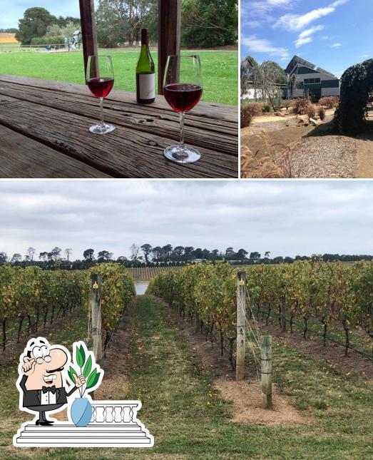 Stonier Wines