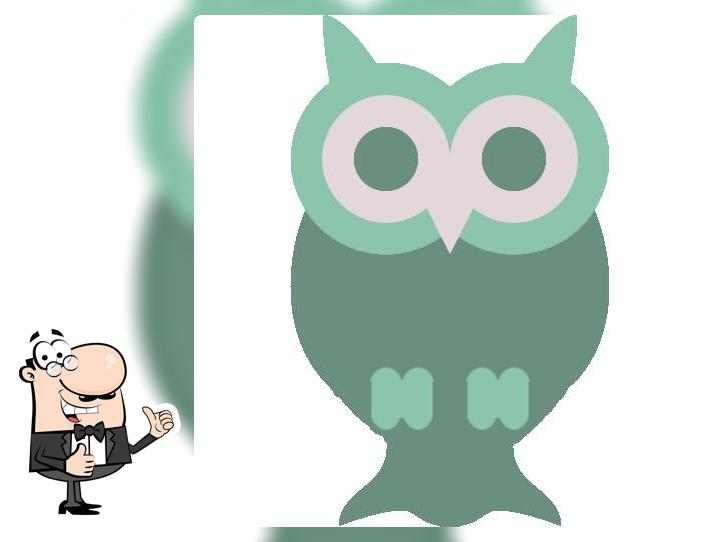 Night Owl Chelt