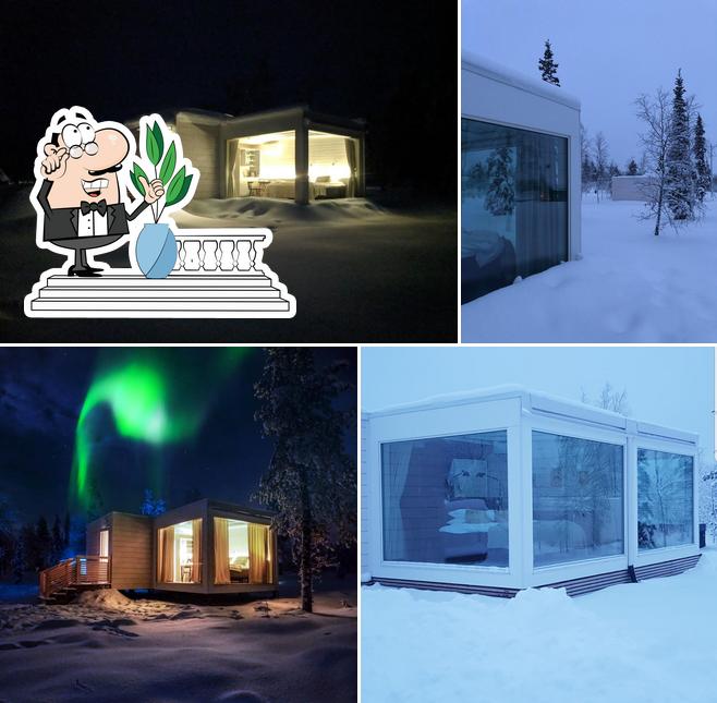 Northern Lights Ranch