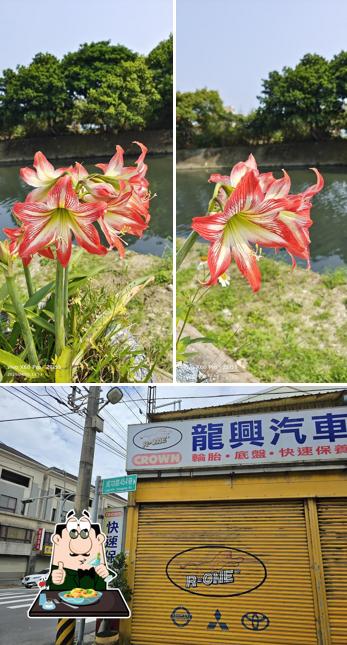 老彭釣魚池