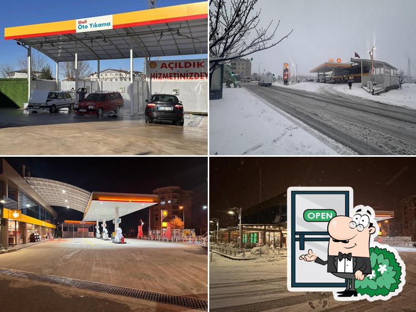 Shell Torunlar Akaryakıt petrol ordu