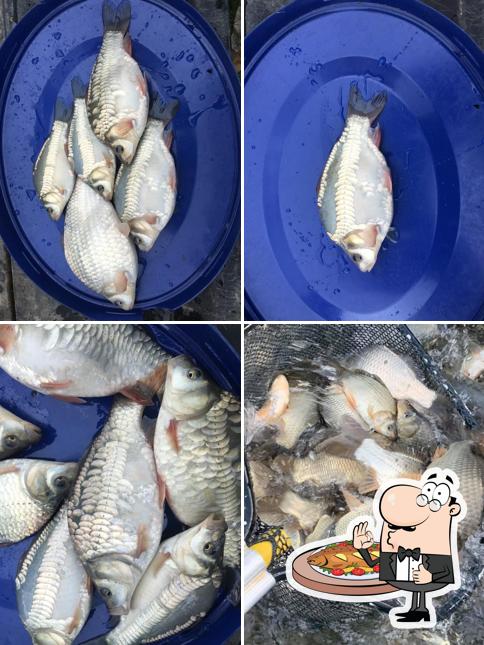 Babylon Fish Farm