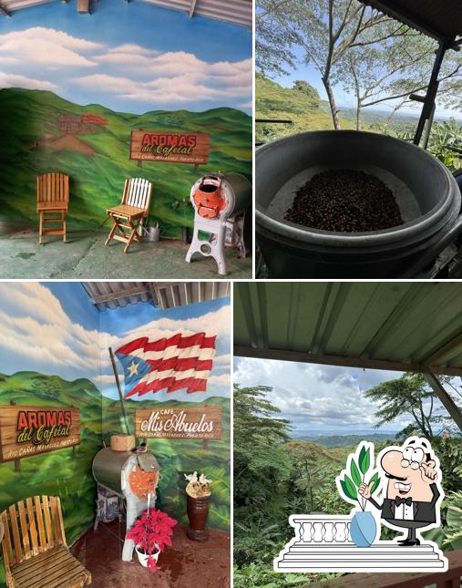 Café Mis Abuelos - Hacienda Cafetalera y Torrefactora