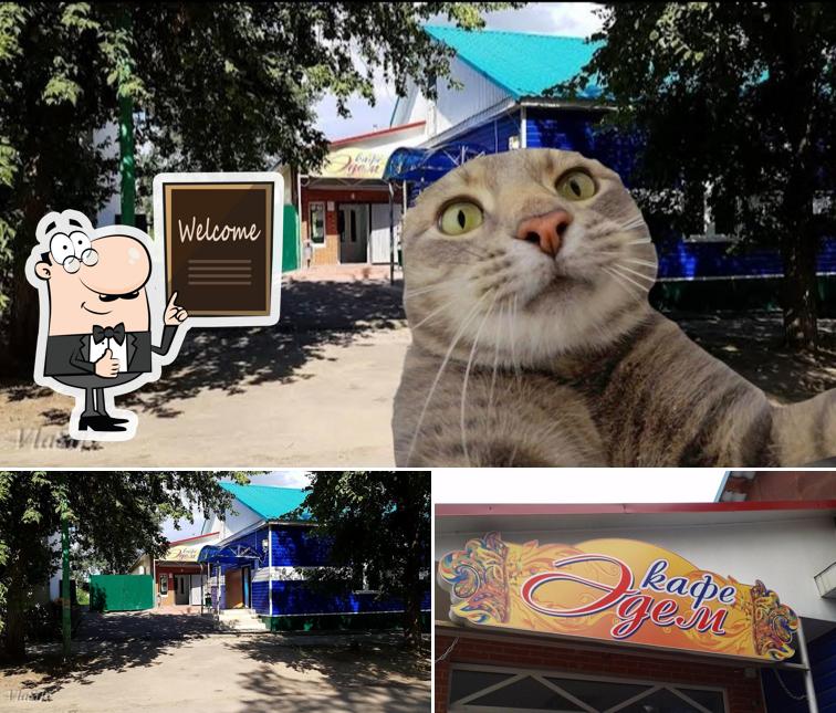 Эдем
