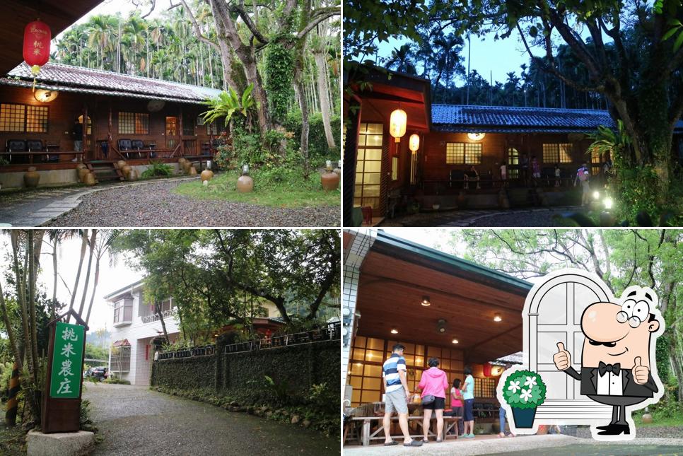 埔里挑米農庄民宿&樹蛙亭田園廚房