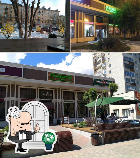 Внешнее оформление "Plantacia Coffee"