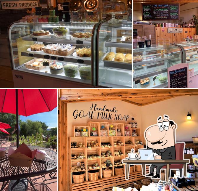 Blue Mule Cafe and Bakery