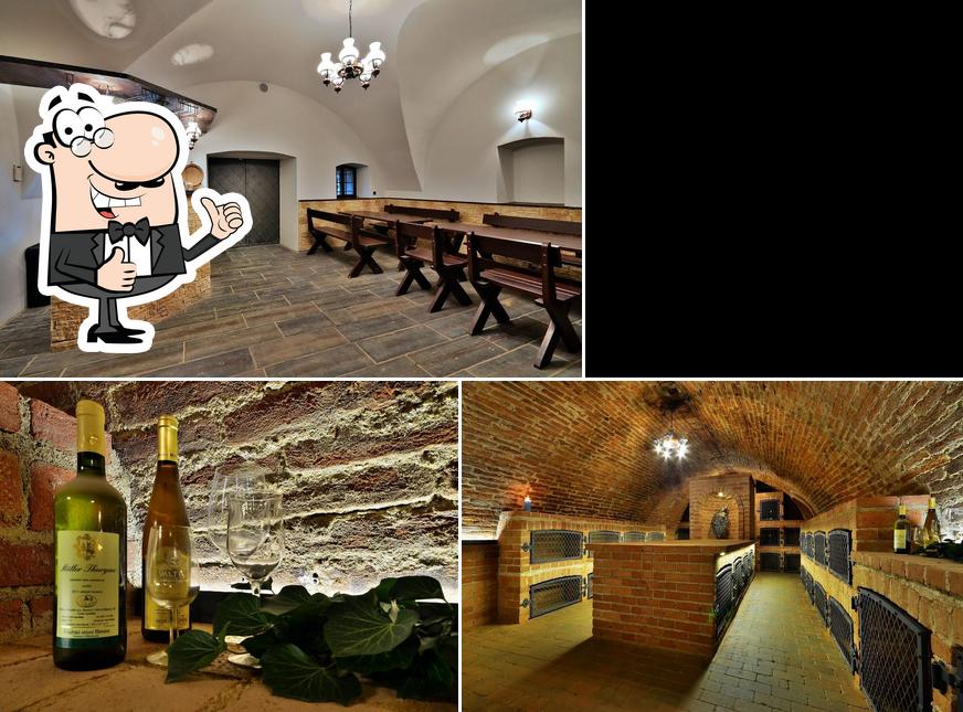 Degustační salon Pálava