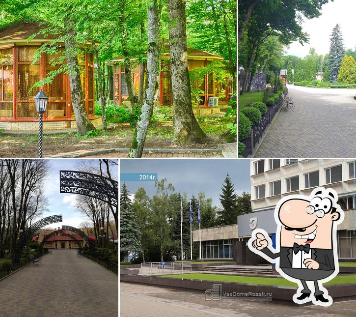 Лесная поляна