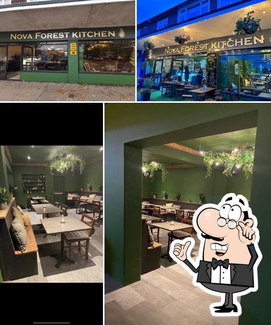 Nova forest kitchen