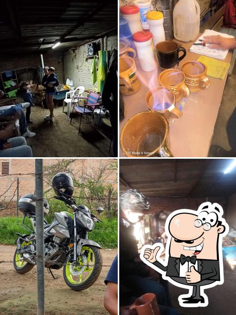 Pajaretes Don Servando