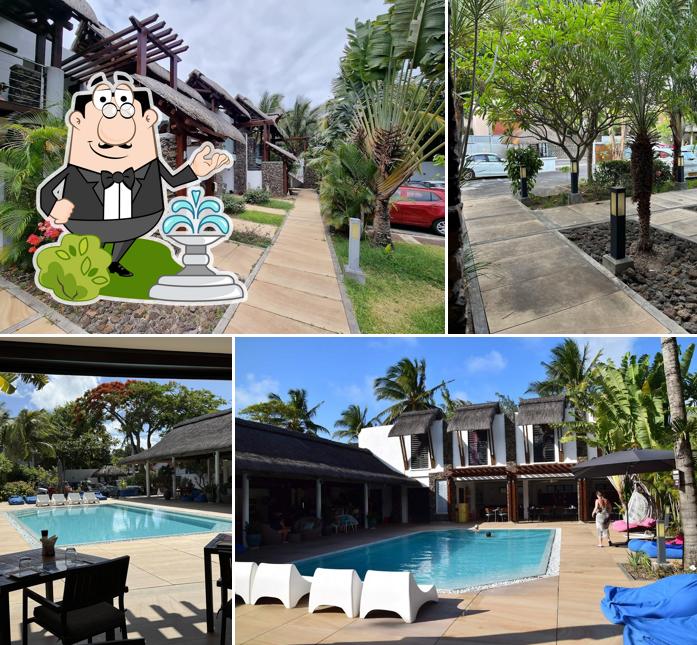 TOPARADIS