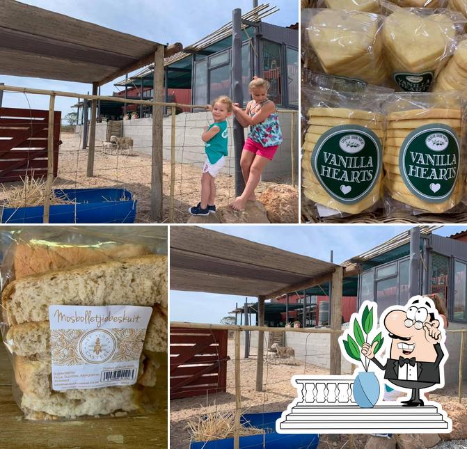 Die Rooi Stoor Padstal - Vensterklip Elandsbaai