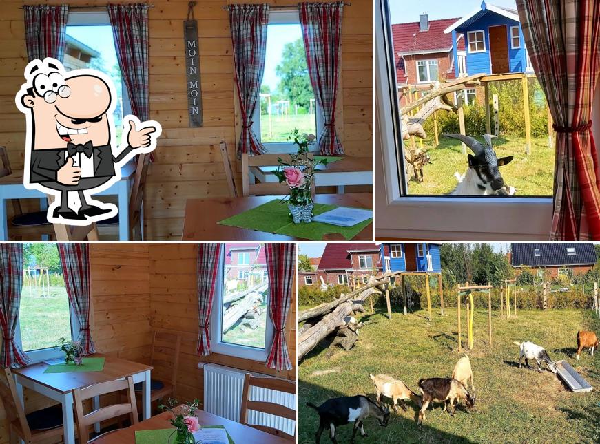 Hofcafé Wulkje