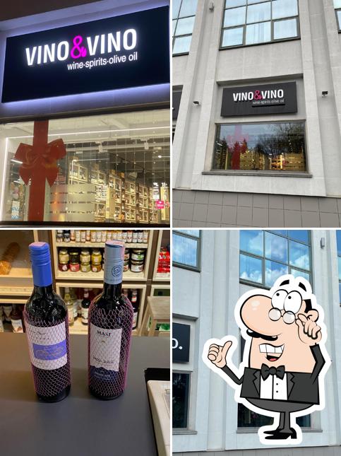 Vino & Vino