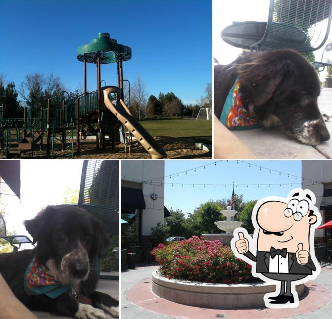 Oakshade Town Center