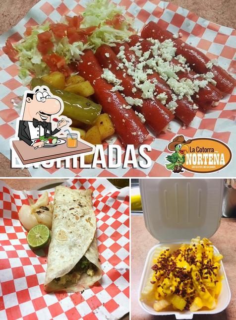 La Cotorra Norteña