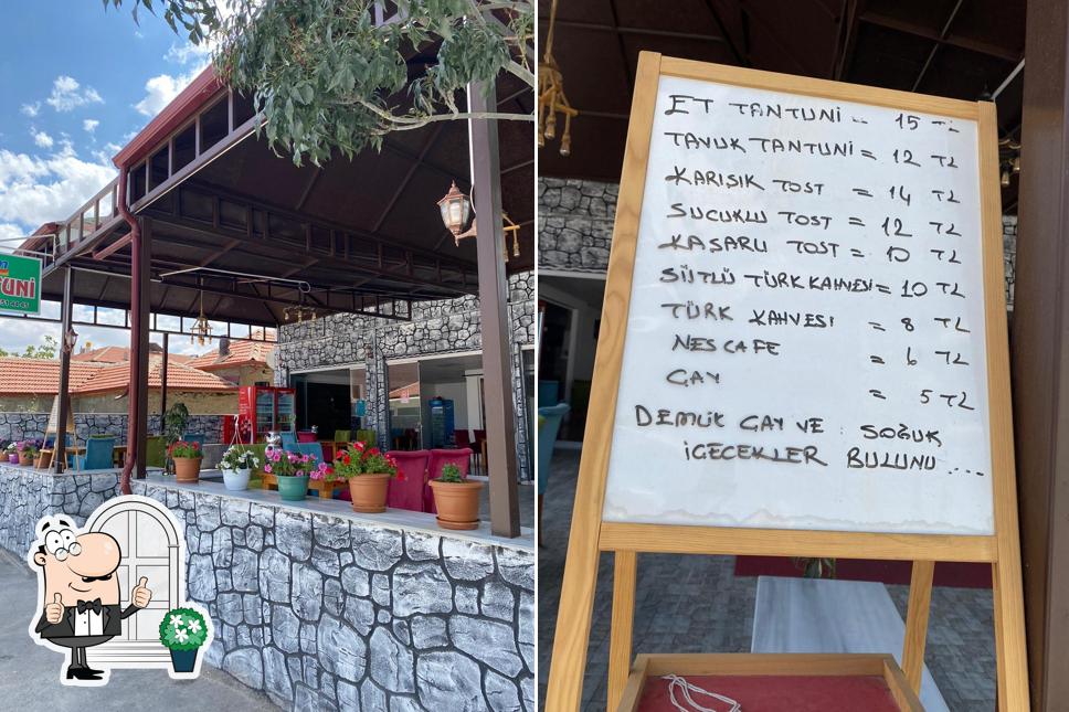 DM TANTUNİ