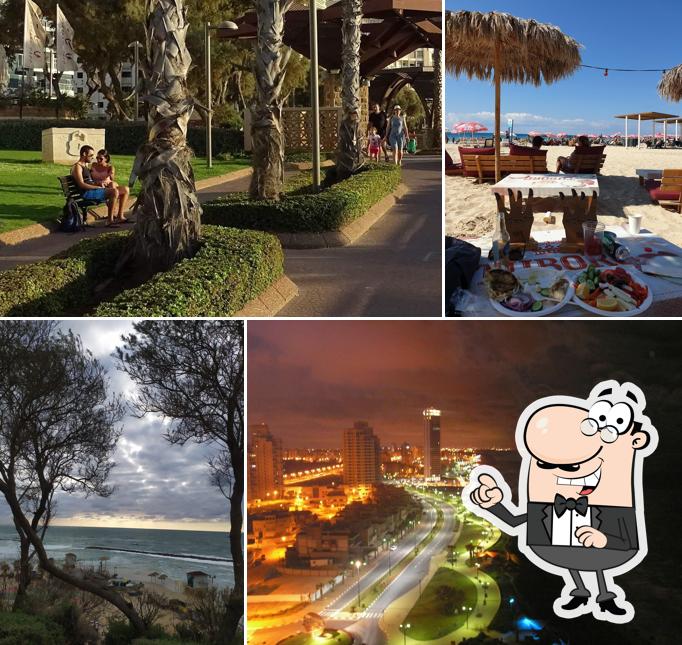 טיילת